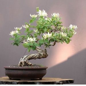 Meet your Posher, Hiep